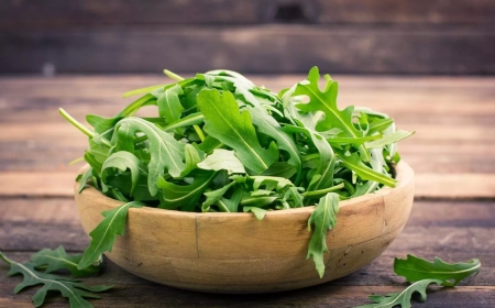 شرين مختار  تكتب.. الجرجير.. فوائد صحية مذهلة