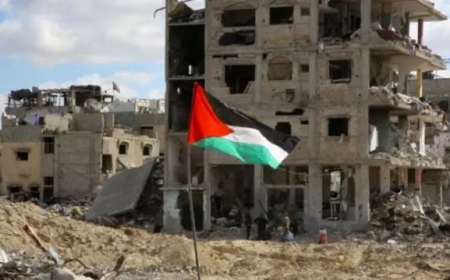 مدير مركز العرب بفلسطين: تطورات إيجابية تبعث الأمل لإنجاز صفقة تبادل جزئية على طريق إنهاء الحرب على غزة