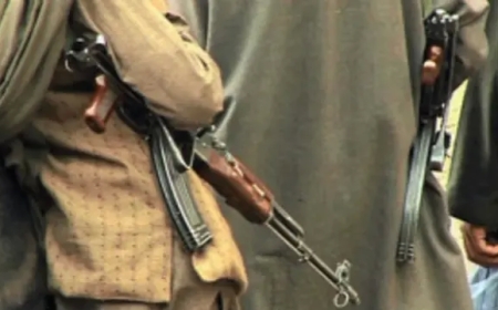 سليم الهندي يكتب.. الجماعات الإسلامية المتطرفة: جماعات تدميرية