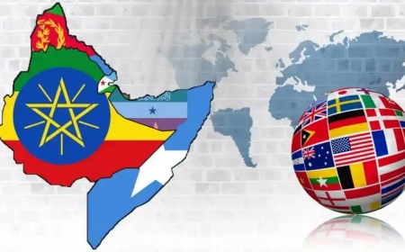 إعادة  تشكيل النفوذ في القرن الإفريقي: ما بعد انسحاب القوى الغربية وصعود الفاعلين الإقليميين