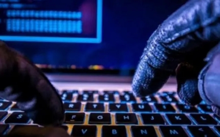 النصب الإلكتروني وهوس الربح السريع..  تطبيقات وهمية تستنزف أموال المستخدمين وتهدد الأمن القومي