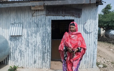 التربية من أجل المواطنة في المجتمعات الأفريقية: بين القبيلة والدولة: دراسة حالة “القرن الأفريقي”