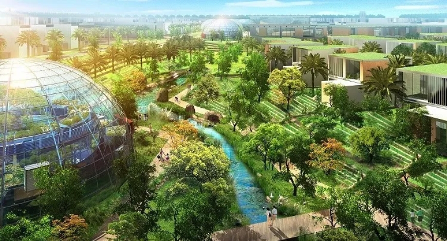 الاقتصاد الأخضر والتنمية المستدامة الآليات والحلول.. رؤية بحثية لـ(صفاء عبد الباسط عبد العزيز)