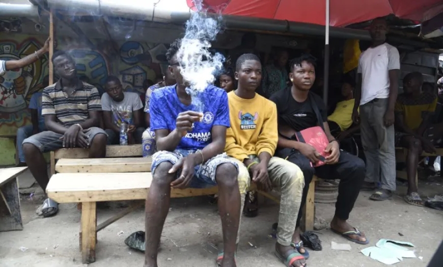 تهريب المخدرات عبر الساحل الشرقي لأفريقيا (إلى أوروبا والولايات المتحدة) وتأثيره الممتد إلى كينيا