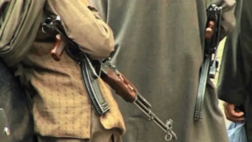 سليم الهندي يكتب.. الجماعات الإسلامية المتطرفة: جماعات تدميرية