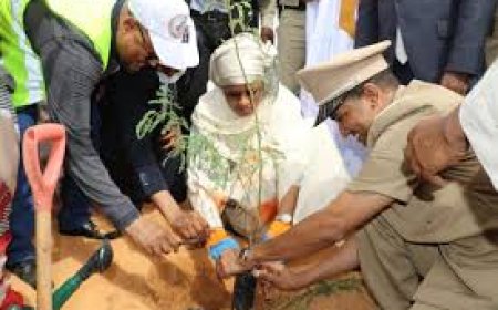 رئيس الجمهورية يشرف على إطلاق فعاليات الأسبوع الوطني للشجرة ويدعو إلى تعزيز الوعي البيئي