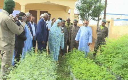 تدشين ثمان مشاتل ببلدية اغشورغيت أقامتها الوكالة الوطنية للسور الأخضر الكبير