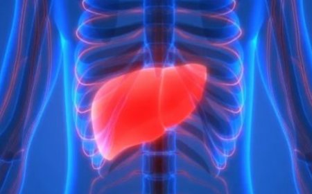 المركز الإفريقي لمكافحة الأمراض: مرض التهاب الكبد يعد “القاتل الصامت” في إفريقيا