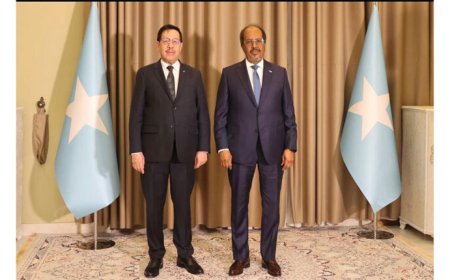 سفير بلادنا لدى الصومال يقدم أوراق اعتماده