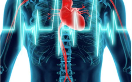 دراسة: الاستخدام المفرط للشاشات يهدد صحة القلب لدى الأطفال والمراهقين