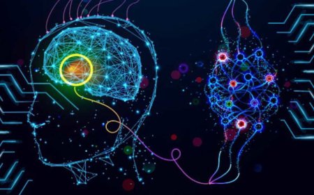 «تآكل الدماغ».. كيف يدمر «فيسبوك» و«تيك توك» خلايانا العصبية؟