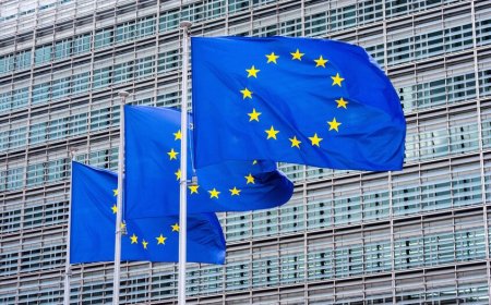 الاتحاد الأوروبي يرفض أي تغيير بالأراضي الفلسطينية دون اتفاق سياسي