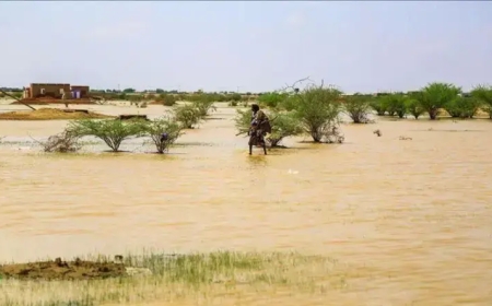 موريتانيا.. هطل أمطار بلغت 125 ملم في الحوض الشرقي