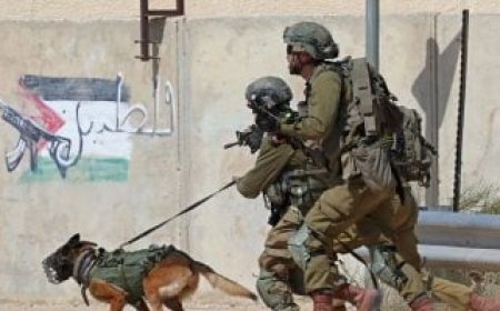 ارتفاع حصيلة العدوان الإسرائيلي على قطاع غزة إلى 61 ألفا و897 شهيدا