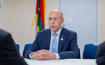 غزواني يجري لقاءات مع رؤساء كبريات الشركات اليابانية