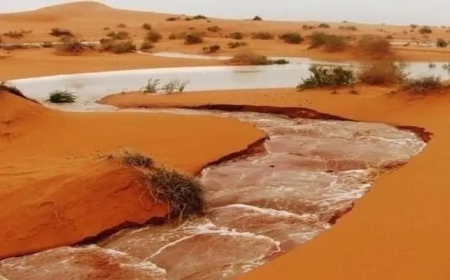 كميات كبيرة من الأمطار تسجل في عدة ولايات موريتانية