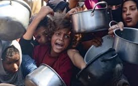 أول إعلان رسمي من نوعه.. الأمم المتحدة تعلن المجاعة في غزة