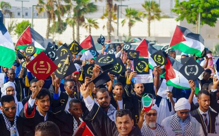 طلاب موريتانيا وطوفان الأقصى.. شرارة الحراك وإبداع المناصرة