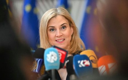 النمسا تؤيد فكرة تشكيل اتحاد دفاعي مشترك لدول الاتحاد الأوروبي