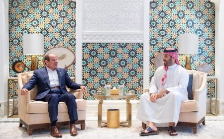 ولي العهد السعودي والرئيس المصري يستعرضان مستجدات المنطقة