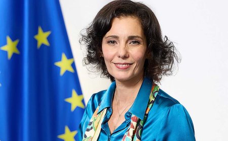 مسؤولة أوروبية :الاتحاد الأوروبي يقف عند مفترق طرق حاسم بشأن غزة