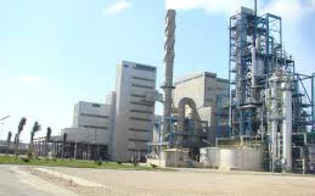 مصر تحقق كشفًا بتروليًا جديدًا في الصحراء الغربية