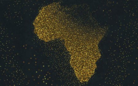 تقرير حول الثروة في إفريقيا: عدد المليونيرات بالقارة وصل 122500