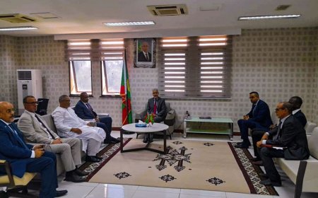 موريتانيا تدعو إلى بلورة برامج عملية تلبي احتياجات سكان الساحل