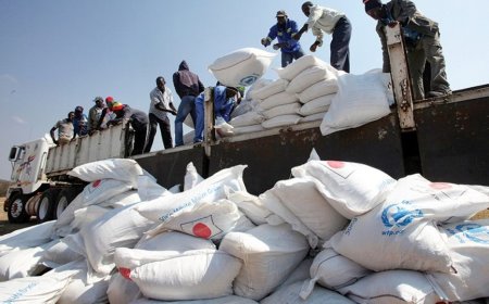 بسبب خفض المساعدات 4 دول إفريقية تعاني نقصا في أغذية الأطفال