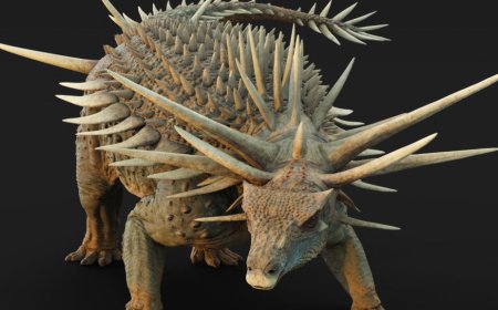 متحجرات اكتُشفت في المغرب لديناصور مدرّع غريب تبرز منه أشواك عظمية