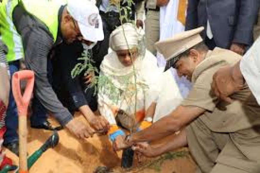 رئيس الجمهورية يشرف على إطلاق فعاليات الأسبوع الوطني للشجرة ويدعو إلى تعزيز الوعي البيئي