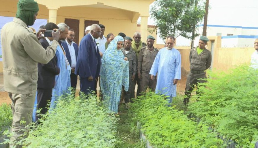 تدشين ثمان مشاتل ببلدية اغشورغيت أقامتها الوكالة الوطنية للسور الأخضر الكبير