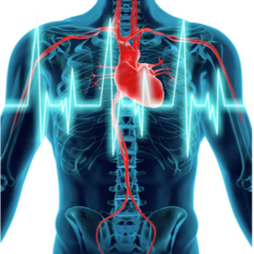 دراسة: الاستخدام المفرط للشاشات يهدد صحة القلب لدى الأطفال والمراهقين