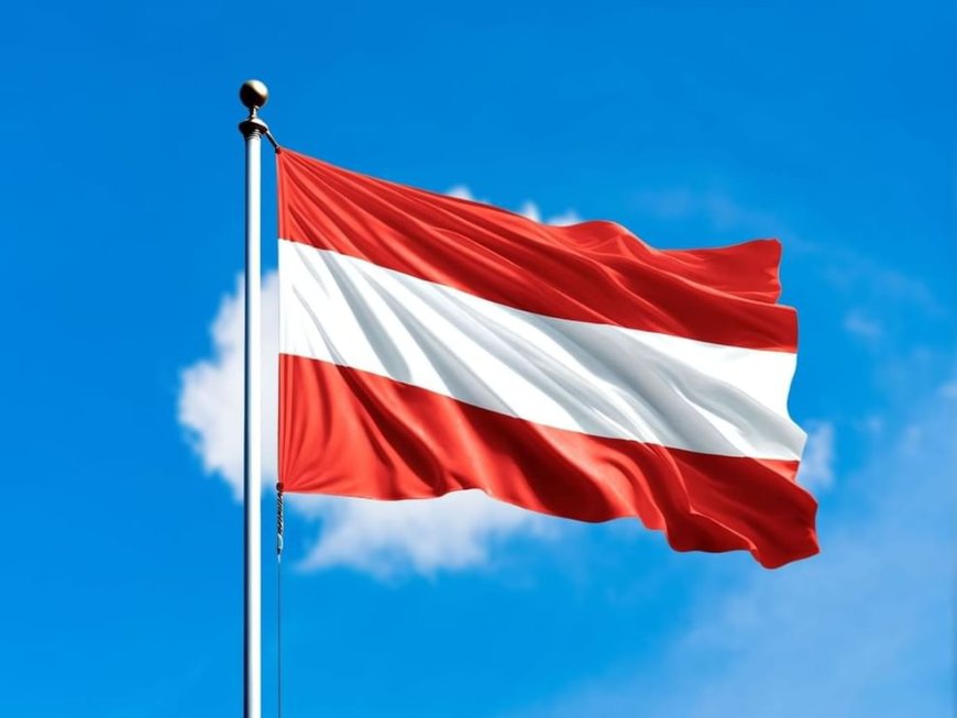 النمسا تدخل عالم الأقمار الاصطناعية العام المقبل