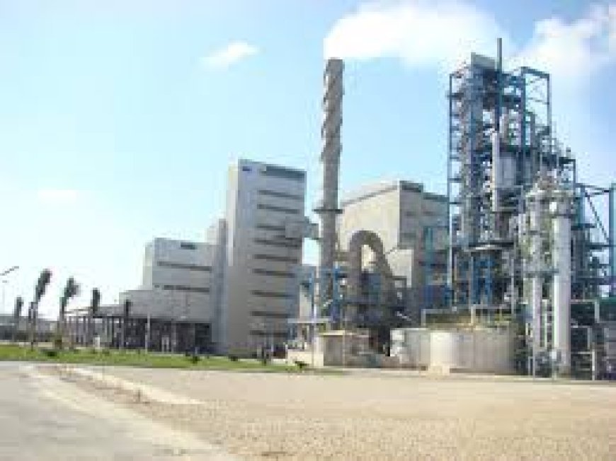 مصر تحقق كشفًا بتروليًا جديدًا في الصحراء الغربية