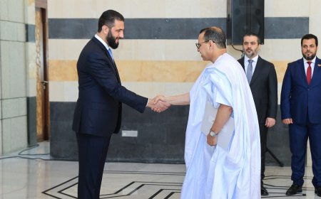 الرئيس السوري يتسلم أوراق اعتماد السفير الموريتاني الجديد