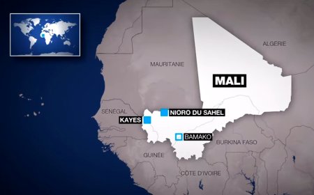 السنغال: إطلاق سراح 6 سائقين سنغاليين اختطفوا في مالي