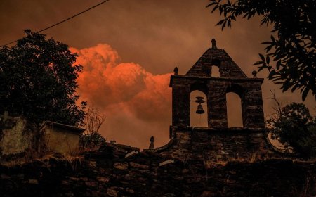 اندلاع حرائق غابات جديدة في البرتغال وإسبانيا