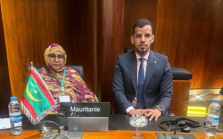 موريتانيا تشارك في المؤتمر التأسيسي للمجلس البرلماني الآسيوي الإفريقي ببيروت