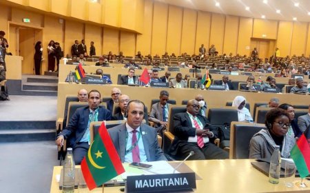 موريتانيا تُشارك في القمة الإفريقية الكاريبية بأديس أبابا