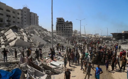 ارتفاع حصيلة شهداء الحرب على غزة إلى 64656 شهيدًا