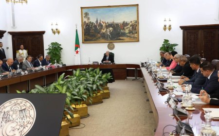 الجزائر: الإعلان عن حكومة جديدة دون تغيير الحقائب السيادية