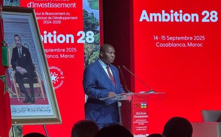 المغرب: انطلاق مائدة مستديرة تنشد تمويل المخطط التنموي لإفريقيا الوسطى