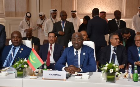 موريتانيا تشارك في الاجتماع التحضيري للقمة العربية الطارئة