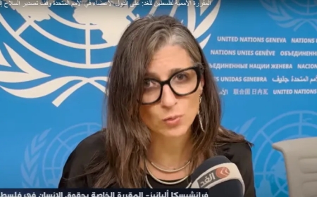 مسؤولتان أمميتان : يجب وقف تصدير السلاح إلى إسرائيل فورا