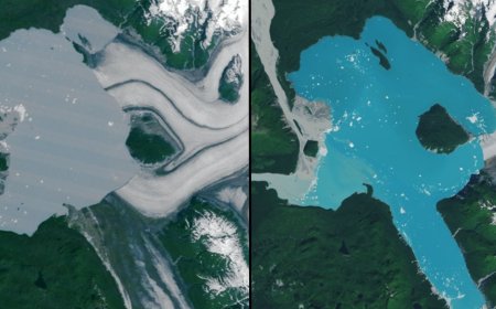 "ناسا" ترصد جزيرة جديدة تشكلت بفعل ذوبان نهر جليدي في ألاسكا