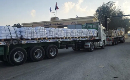 الهلال الأحمر المصري يدفع بنحو 2500 طن من المساعدات إلى غزة