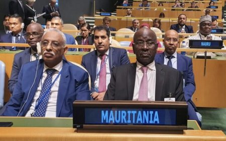 موريتانيا تشارك في مؤتمر أممي حول التسوية السلمية للقضية الفلسطينية