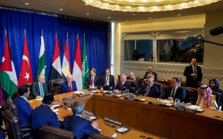 ترمب يتبنى خطة لإنهاء حرب غزة.. ما تفاصيلها؟