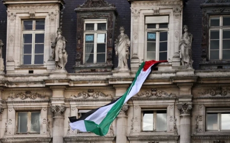 تعليمات بإنزال العلم الفلسطيني من فوق المباني الحكومية في فرنسا